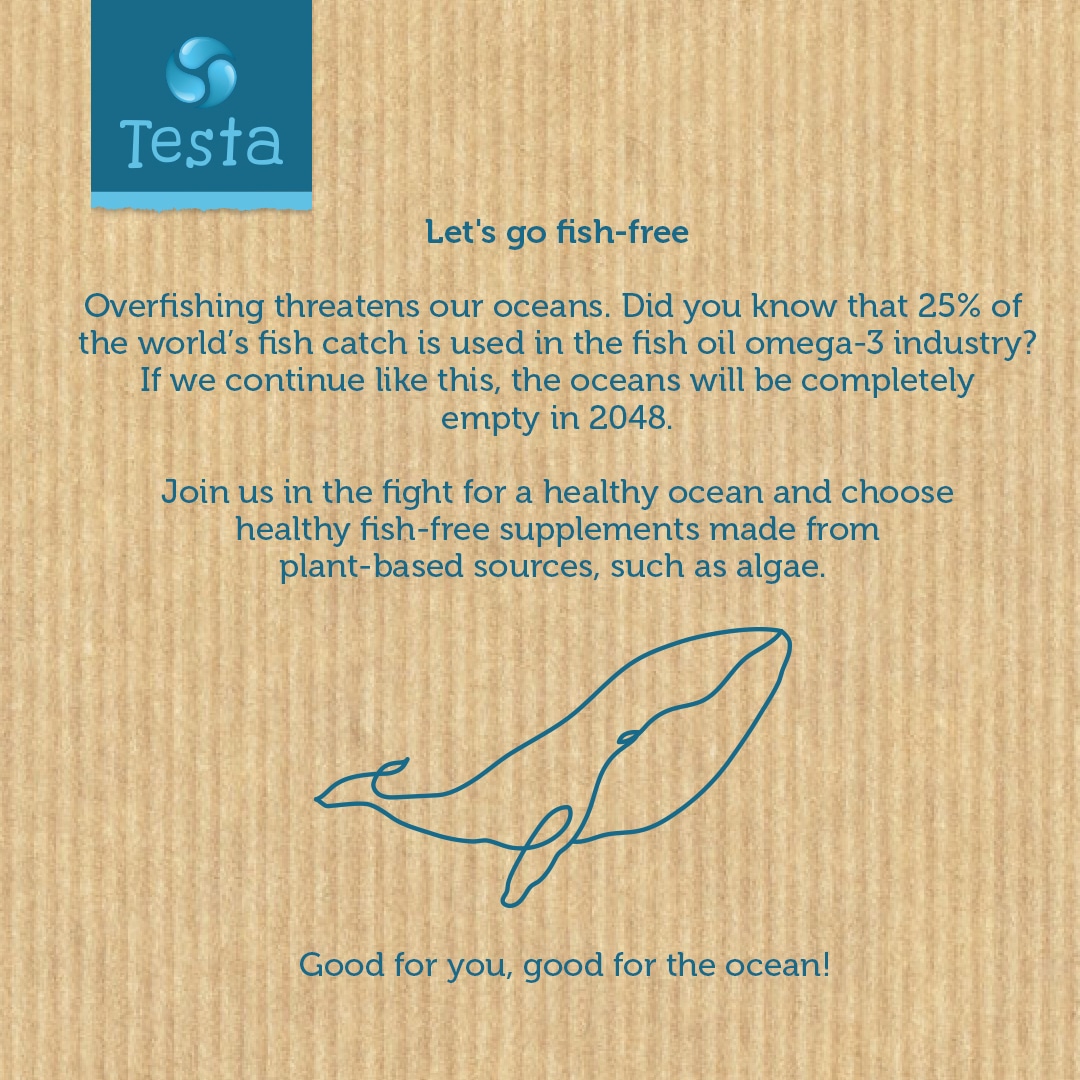 Buy Omega3 Algae Oil capsules? DHA + EPA Testa