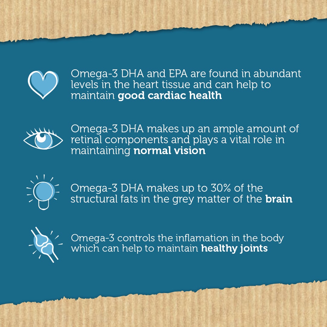 Buy Omega3 Algae Oil capsules? Vegan Krill Testa