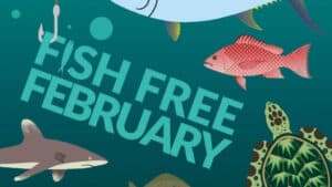 Fish free february omega 3 vegan