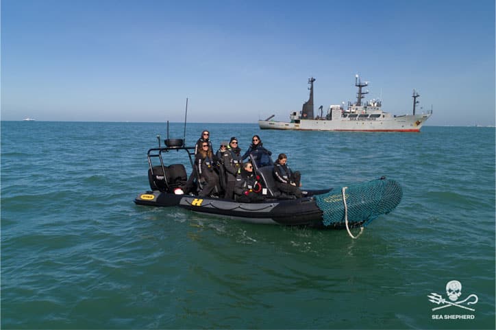 Sea Shepherd partnership Testa Omega-3 donatie