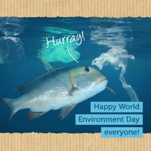 world environment day fishfree omega 3 testa